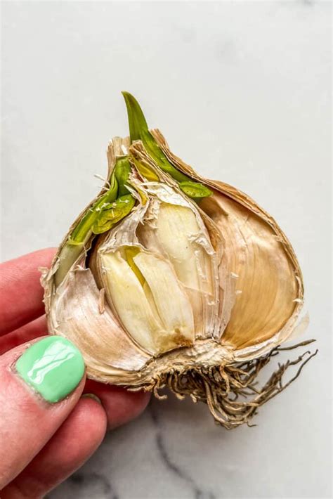 How can you tell if garlic is moldy?