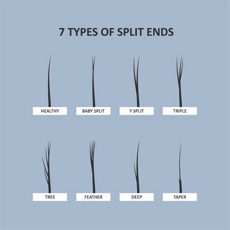 How can you tell the difference between dry hair and split ends?