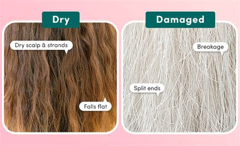 How can you tell the difference between healthy and damaged hair?