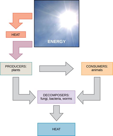 How can you transfer energy?