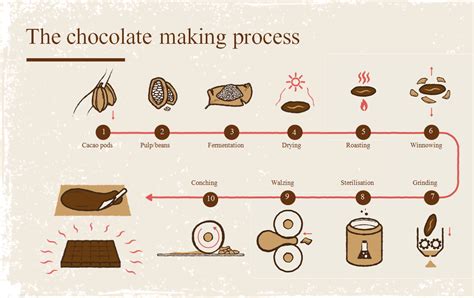 How chocolate is made step by step?