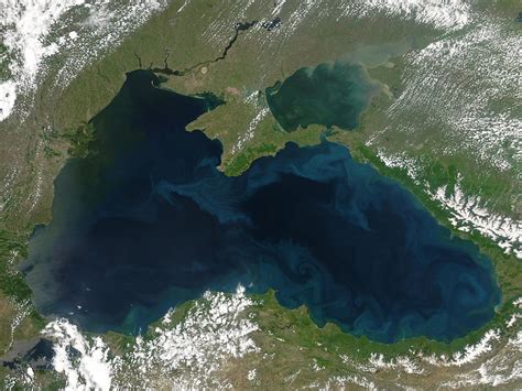 How cold is Black Sea?