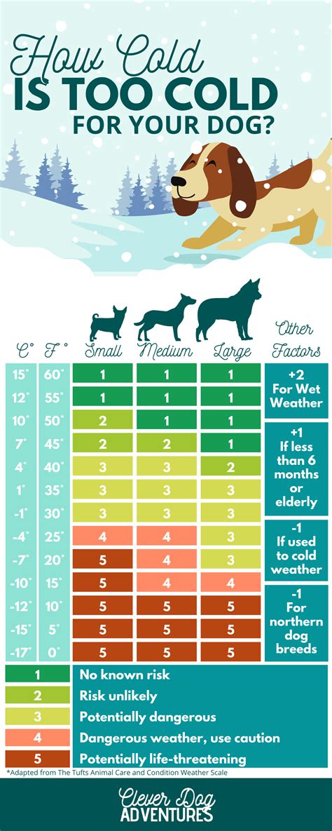 How cold is too cold for a dog Celsius?
