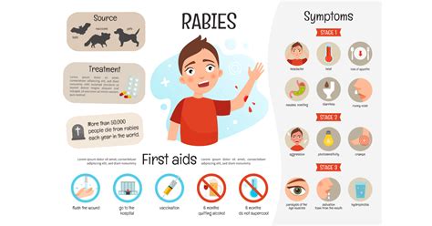 How common is rabies from a lick?