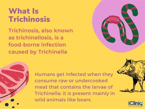 How common is trichinosis in pork?