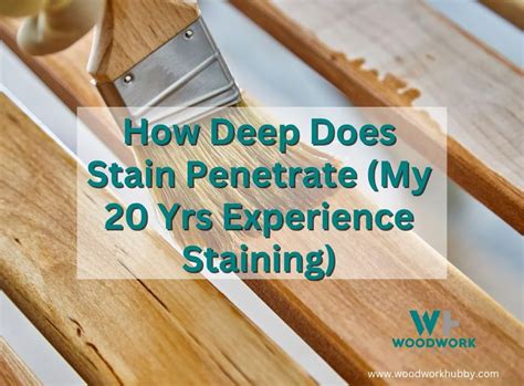 How deep does stain penetrate?