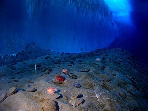 How deep is the ocean floor?