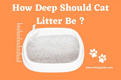 How deep should cat litter be?