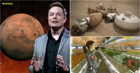 How did Elon Musk self study?