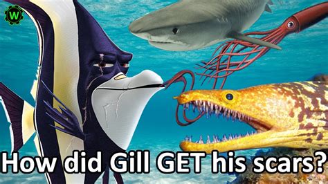 How did Gill get his scars?