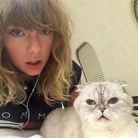 How did Taylor Swift name her cats?