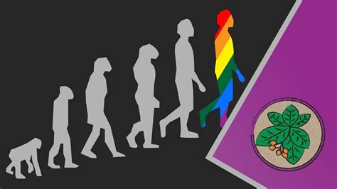 How did homosexuality evolve?