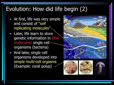 How did life began?