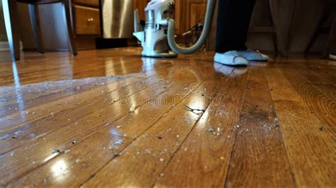 How dirty are floors at home?