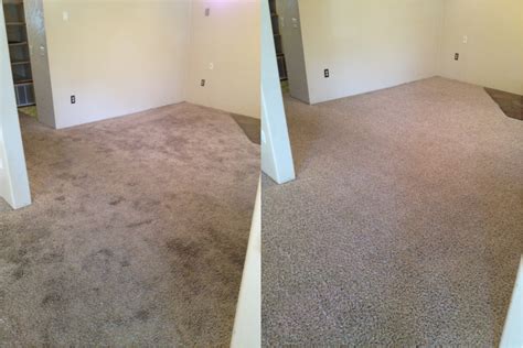 How dirty is carpet really?