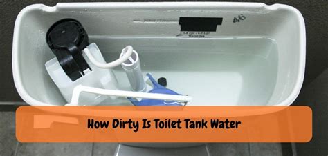 How dirty is toilet tank water?