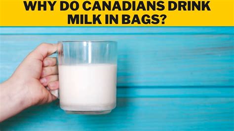 How do Canadians say milk?