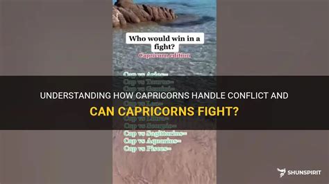 How do Capricorn fight?