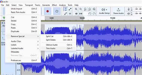 How do I Trim audio in audacity?