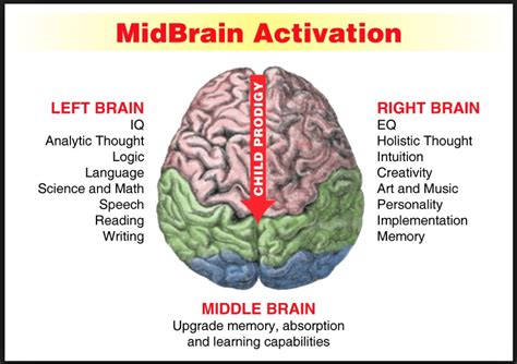 How do I activate my right brain toddler?