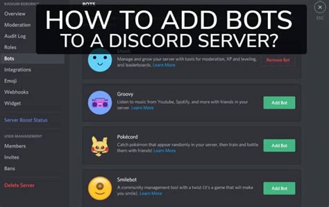 How do I add a bot ID to Discord?