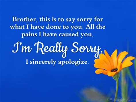 How do I apologize to my brother?