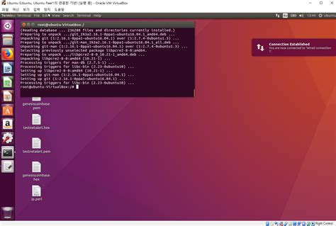 How do I change the interface in Linux?