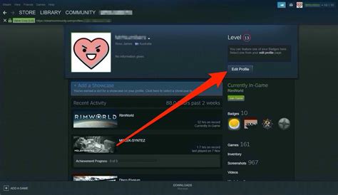 How do I change what my friends see on Steam?