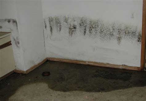 How do I check for moisture in my basement?