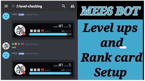 How do I check my MEE6 level?