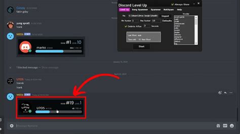How do I check my level in Discord?