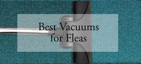 How do I clean my vacuum after fleas?