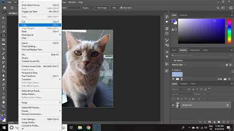 How do I crop a specific object in Photoshop?