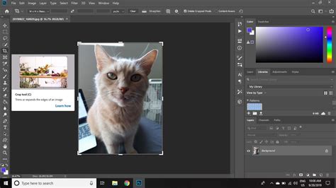 How do I crop freely in Photoshop?