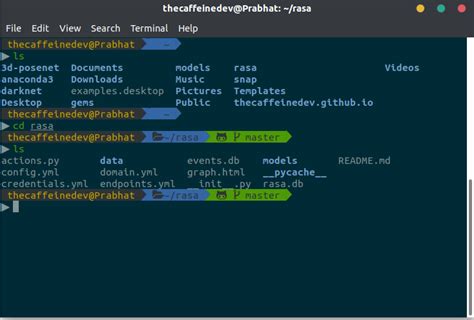 How do I customize my Ubuntu 20.04 terminal?