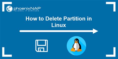 How do I delete a disk in Linux?