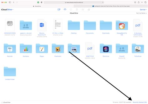 How do I delete files from my iPad but not iCloud?
