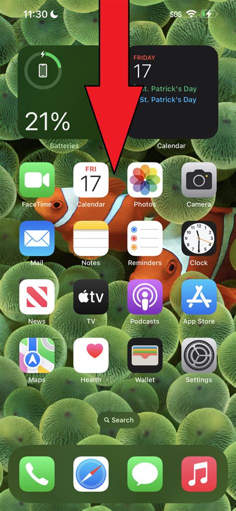 How do I delete wallpaper from my iPhone 11?
