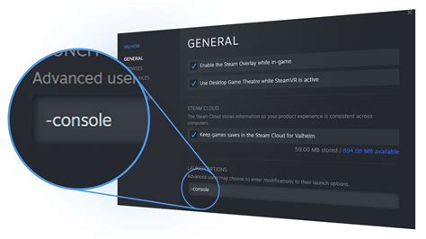 How do I enable console on Steam?