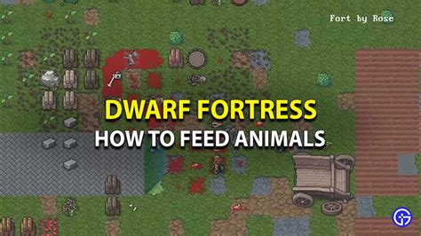 How do I feed my animals in Dwarf Fortress?