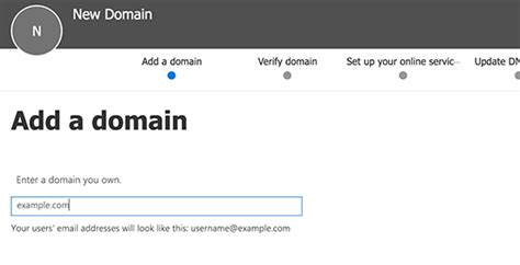 How do I find my domain name and password?
