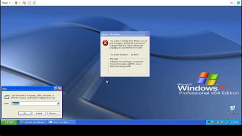 How do I force crash Windows XP?