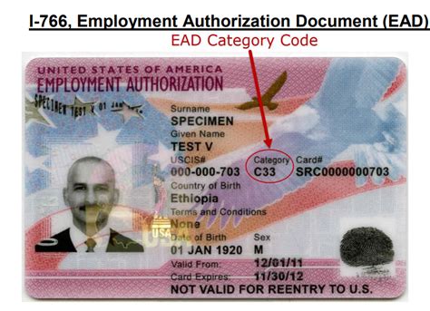 How do I get a US work authorization?