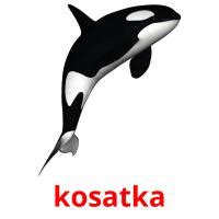 How do I get kosatka?