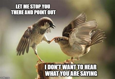 How do I get my bird to shut up?