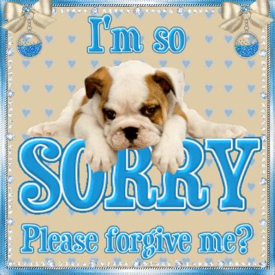 How do I get my dog to forgive me?