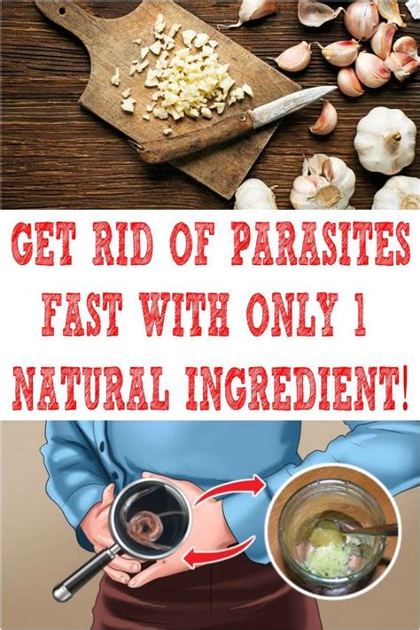 How do I get rid of all the parasites in my body?