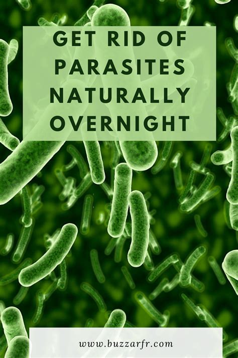 How do I get rid of parasites ASAP?