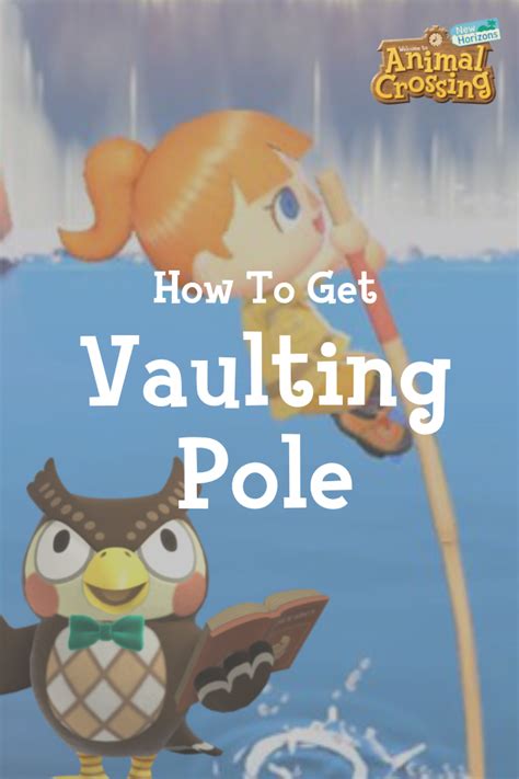 How do I get the vaulting pole in Animal Crossing?