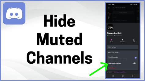 How do I hide connections on Discord?